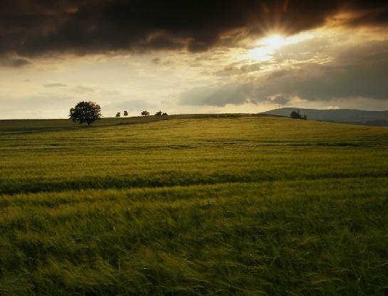 Podvečerní atmosféra