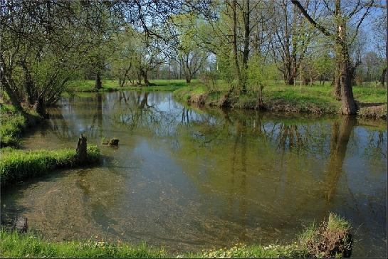 Koňské jezero