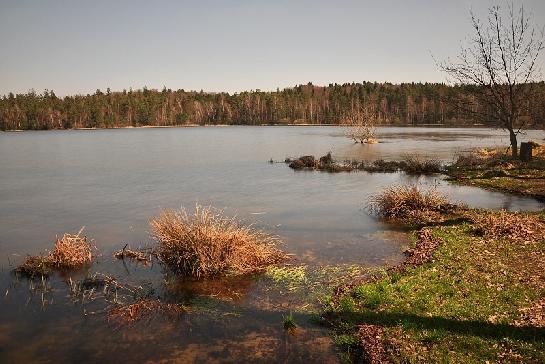 Staňkovský rybník