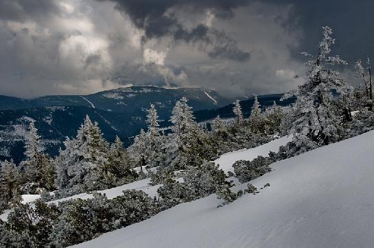 Krkonoše