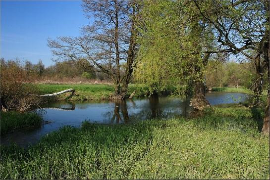 Dulské jezero