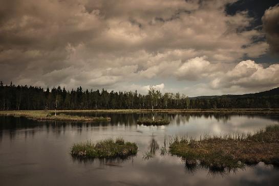 Šumava apokalyptická