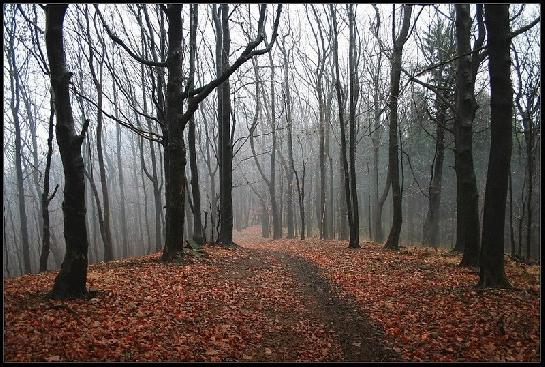 podzimní melancholie