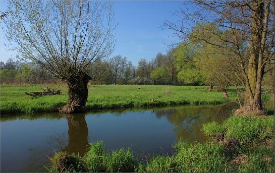 Karasovo jezero