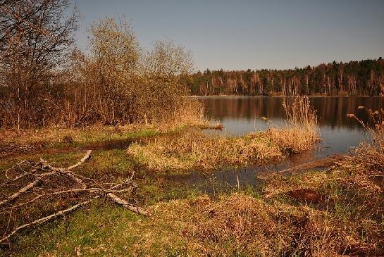 Staňkovský rybník