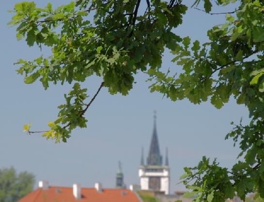 Věž kostela