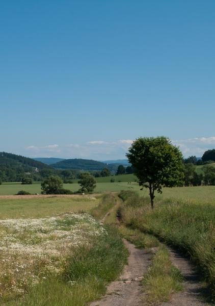 Cestička k domovu