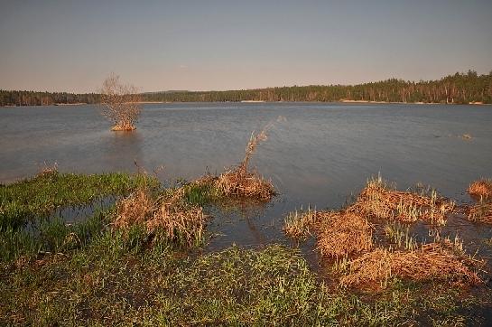 Staňkovský rybník