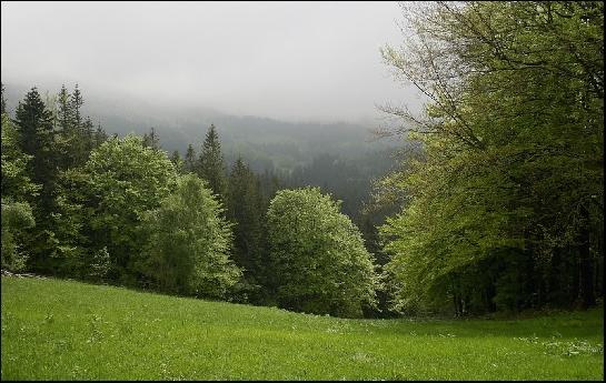 beskydské lázně na oči