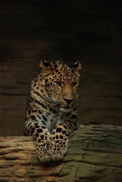 Zoo Olomouc