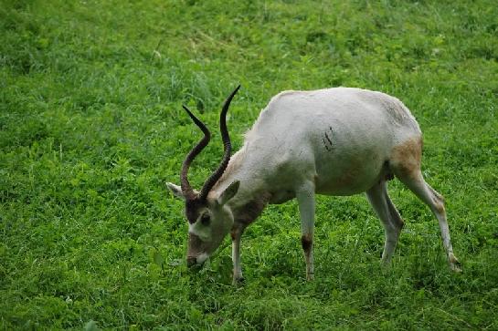 Zoo Olomouc