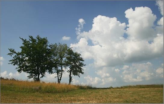 tři kamarádi