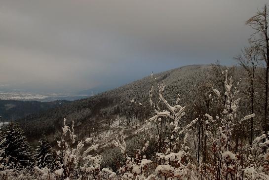 Malý Javorník (839 m n. m.)