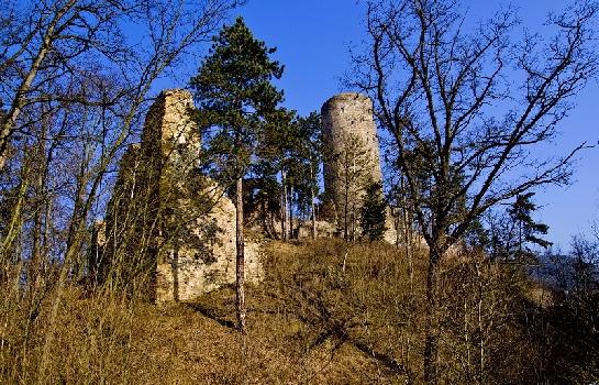 Žebrák