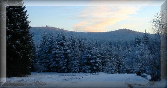 Čerchov (1042m) od Capartic