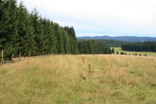 Šumava, Lipensko