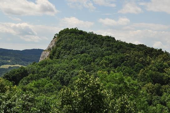 Hora Kotouč 495m n. m.