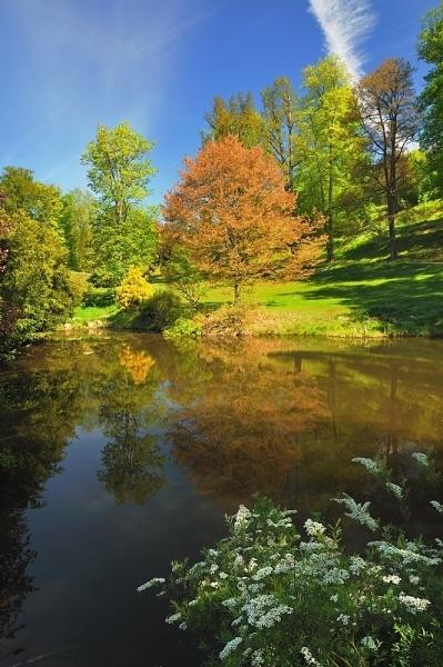 Park zámku Kozel