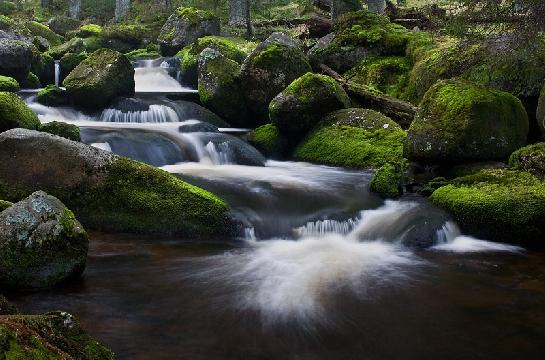 NP Šumava - Hamerský potok