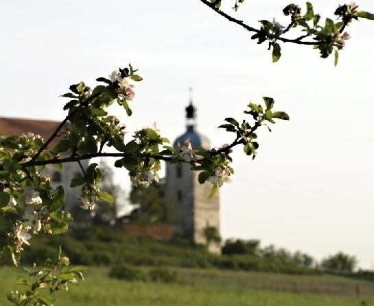 Jaro v Zahořanech