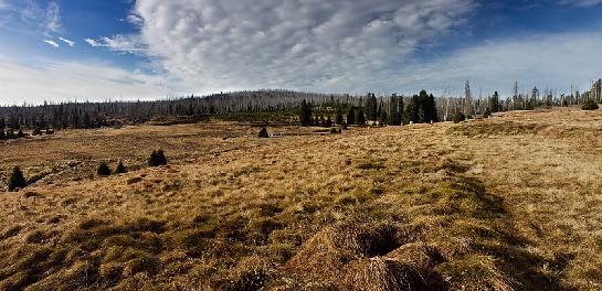 NP Šumava - krajina na Březníku