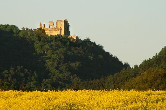 Hrad Boskovice