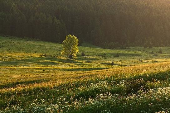 NP Šumava - Kepelské Zhůří