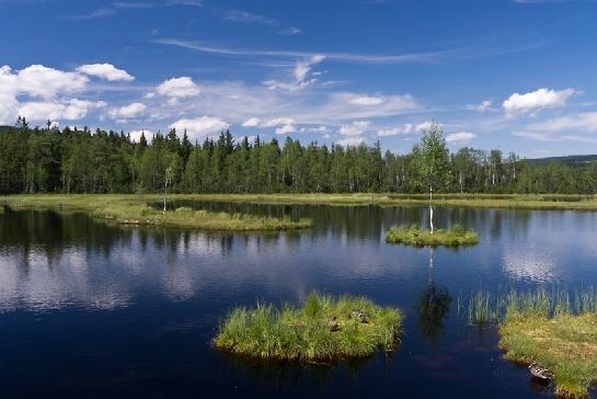 chalupská slat