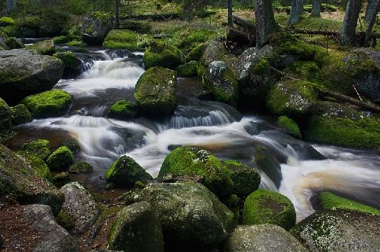 NP Šumava - Hamerský potok