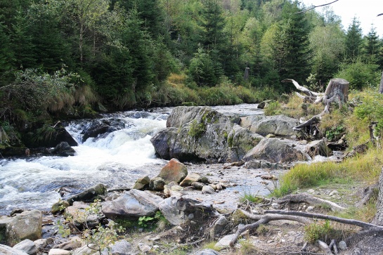 Prášilský potok I. - Šumava