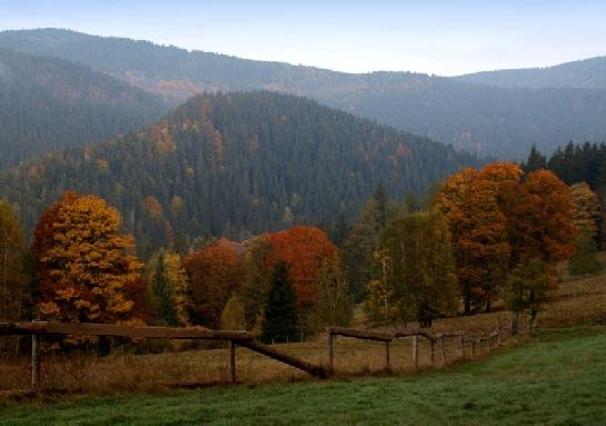 Od Jelenova na Rdkovský vrch