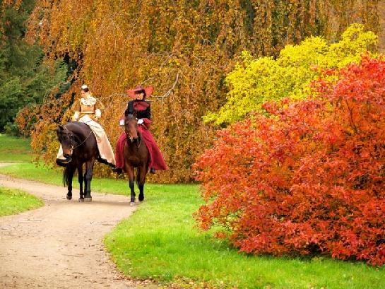 Park zámku Sychrov