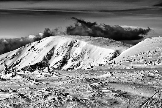 Krkonoše | detail fotografie