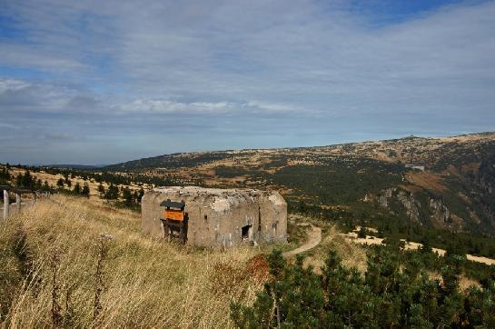 Labská louka