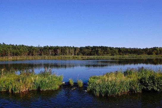 Máchovo jezero