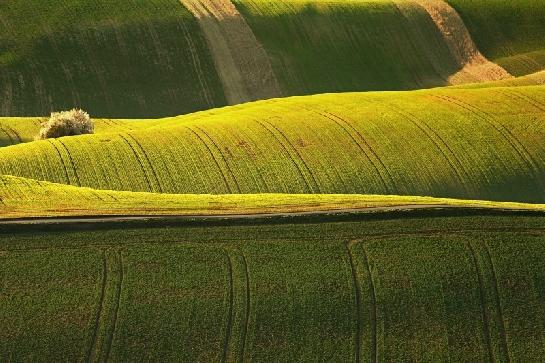 Rozkvetlá Morava