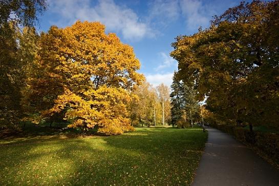 Park v Luhačovicích