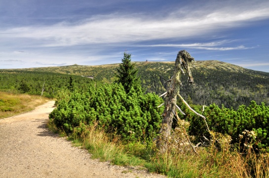 Krkonošský chodník