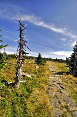 Krkonošský chodník