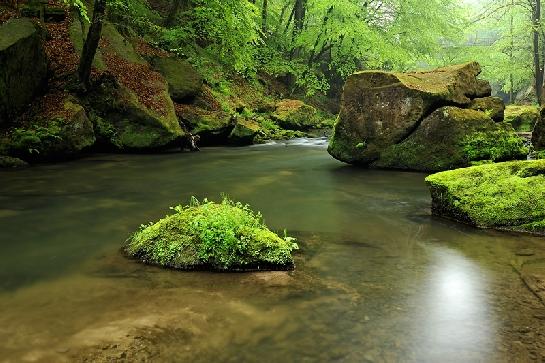 Kamenice