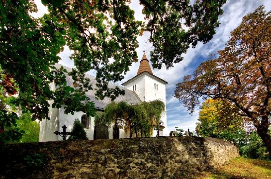 Mouřenec