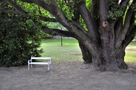 Zámecký park