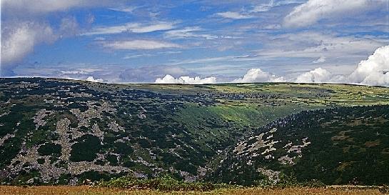 Krkonošská tundra