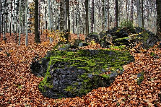 Šumava - Královský hvozd