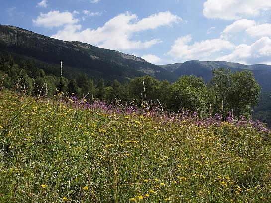 Krkonoše údolí sv. Petra II