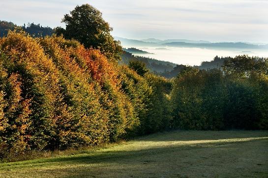 Šumava