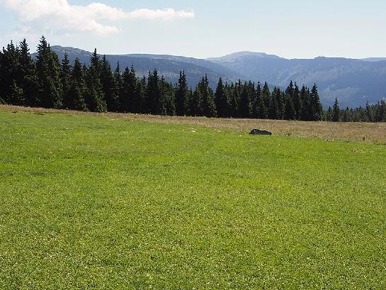 Krkonoše  od Moravské boudy II