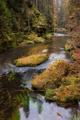 Kamenice v Divoké soutěsce V