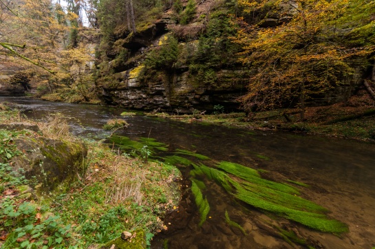 Kamenice v Divoké soutěsce III