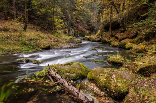 Kamenice v Divoké soutěsce VI